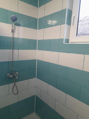 a bathroom with a shower with blue and white tiles at Cazare Slivuț Prislop in Silvaşu de Jos