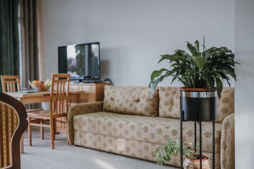 a living room with a couch with a potted plant at MASAL Studio Apartman in Bihać