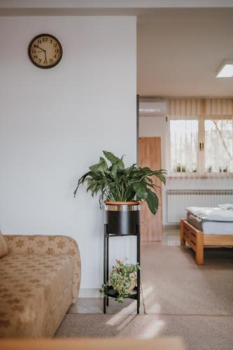 a living room with a table with a plant on it at MASAL Studio Apartman in Bihać