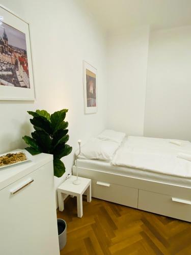 a white bedroom with a bed and a potted plant at Maiselova Old Town Apartment in Prague