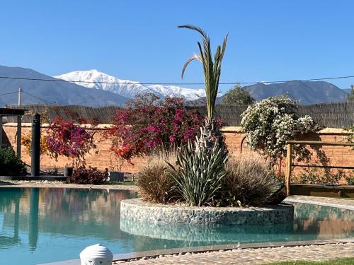 a swimming pool with plants and mountains in the background at Dar Tiziri Amizmiz in Marrakech