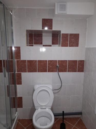 a bathroom with a toilet and a shower at Apartments Vančurova private parking in Brno