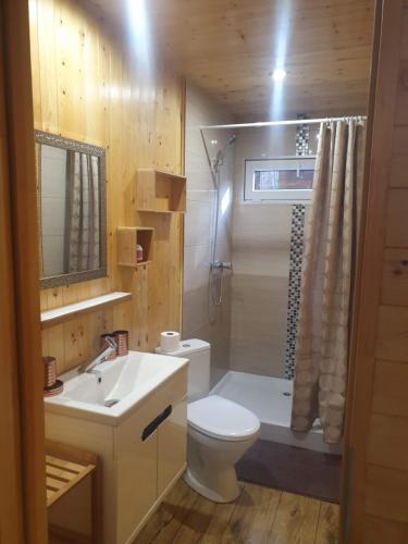 a bathroom with a toilet and a sink and a shower at POD SOSNAMI Ośrodek Wypoczynkowy Boszkowo Letnisko in Boszkowo