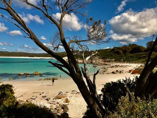 a person walking on a beach near the ocean at Bay of Fires Tiny Home in Binalong Bay