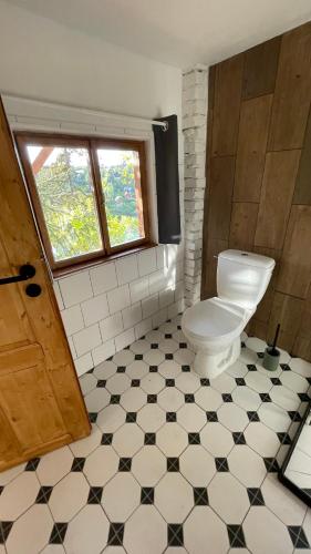 a bathroom with a toilet and a window at Hrách a lusk in Pňovany