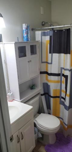 a bathroom with a toilet and a shower curtain at One Bedroom Apartment in Norwood in Norwood