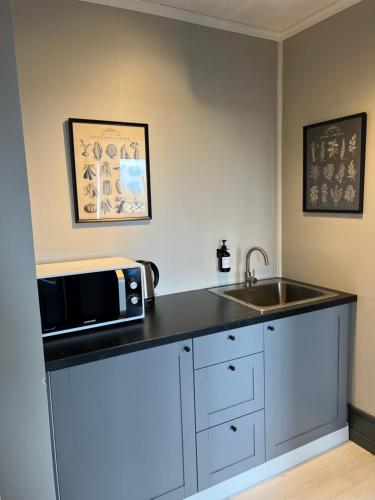 eine Küchentheke mit Mikrowelle und Spüle in der Unterkunft The Greyhouse "Small Apartment" in Höfn