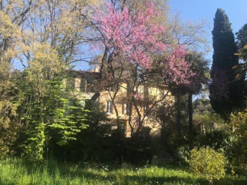 Maison de charme dans les collines niçoises