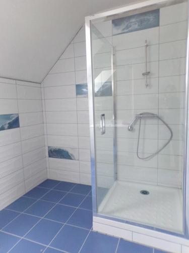 a shower with a glass door in a bathroom at LA ROSELIERE - Les Vergers de Guerledan in Guerlédan