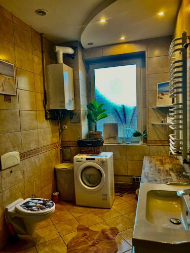 a bathroom with a toilet and a washing machine at Apartament Muszelka in Bytom