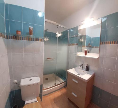 ein Badezimmer mit Dusche, Toilette und Waschbecken in der Unterkunft Location de vacances Bord'O in San-Nicolao