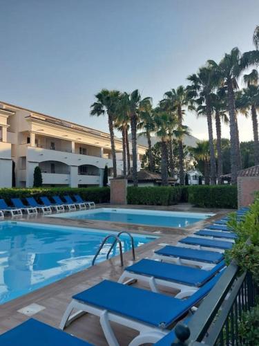 - une piscine avec des chaises longues bleues et des palmiers dans l'établissement Location de vacances Bord'O, à San-Nicolao