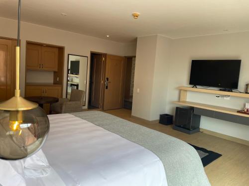 TV a/nebo společenská místnost v ubytování Hotel Parque 97 Suites