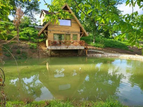 ein kleines Haus auf einem Teich in der Unterkunft Eko Zaseok Brana 