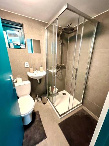 a bathroom with a shower and a toilet and a sink at Cozy comfortable house with jacuzzi & private garden near Amsterdam in Vijfhuizen