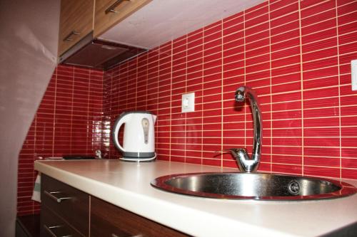 a kitchen with a sink and red tiled walls at Studio Beleri in Himare