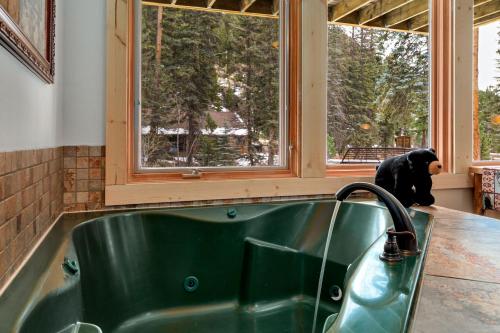 a black bear sitting in a window next to a sink at Creekside Suites 12 by Estes Park Condos in Estes Park