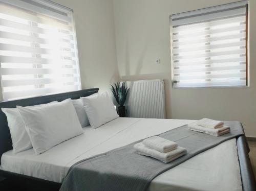 Preveza Mosaic House