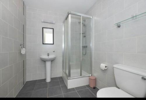 a bathroom with a shower and a toilet and a sink at Luxury 2 bed fully equipped city centre apartment in Cork
