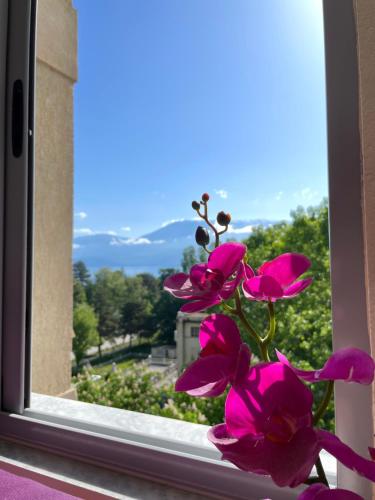 a pink flower sitting in a window with a view at Lake view in Pogradec