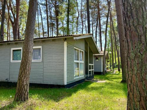 a small green cabin in the woods with trees at Leśna Przystań in Pobierowo