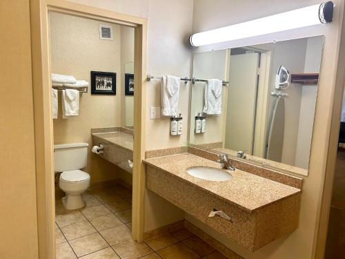 La salle de bains est pourvue d'un lavabo, de toilettes et d'un miroir. dans l'établissement Holiday Inn Spearfish-Convention Center, an IHG Hotel, à Spearfish