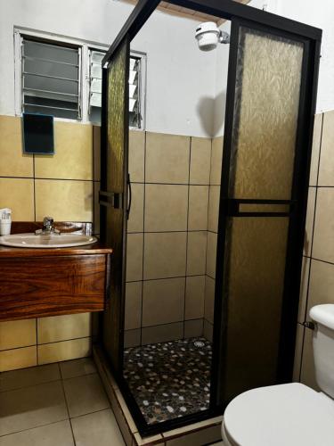 a bathroom with a shower with a sink and a toilet at Casa Ara Macao in Paquera