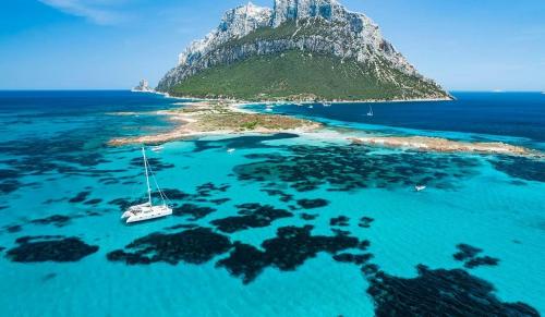 eine Insel mit einem Segelboot im Wasser in der Unterkunft NEST HOUSE - ESCLUSIVO APPARTAMENTO Marina di Olbia- MATER OLBIA - Beaches - close to the Airport - PRIVATE PARKING- Full comforts - in Olbia