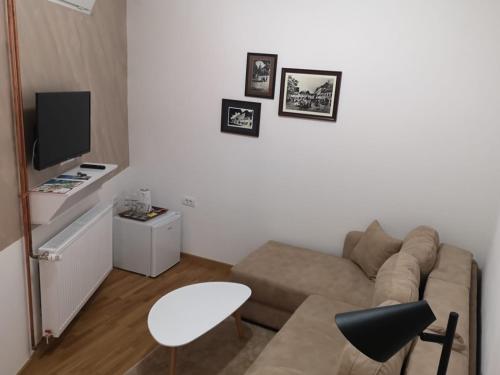 a living room with a couch and a tv at Fruškogorski biser in Sremski Karlovci