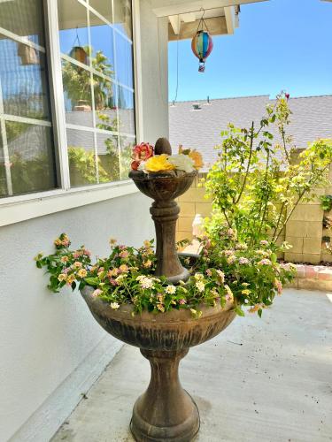 a planter with flowers in it in front of a window at Rose Garden Home, Entire 4bdr 2bth House with Offices, Thousand Oaks in Thousand Oaks