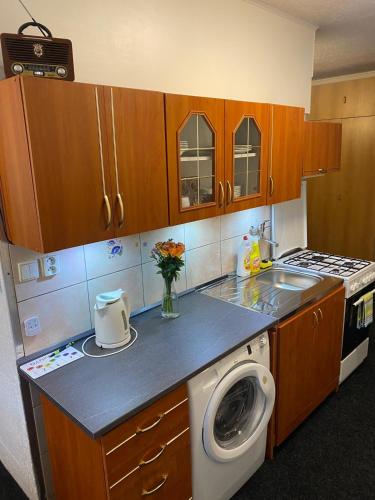 Fotografie z fotogalerie ubytování Apartmán BERLIN v Chodově