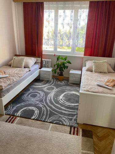 Fotografie z fotogalerie ubytování Apartmán BERLIN v Chodově