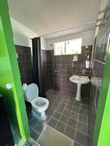 a bathroom with a toilet and a sink at Tiny house et un vélo à assistance électrique (VAE) in Puahua