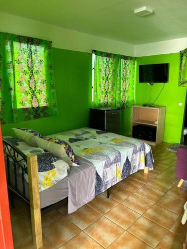 1 dormitorio verde con 1 cama y TV en Tiny house et un vélo à assistance électrique (VAE) en Puahua