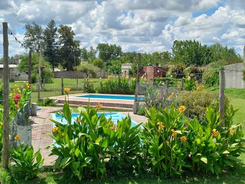 una piscina en un jardín con plantas en Complejo Aguas Termales en Gualeguaychú