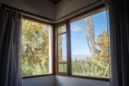 a window in a room with a view of trees at Loma Puskana - Casas in Cachí