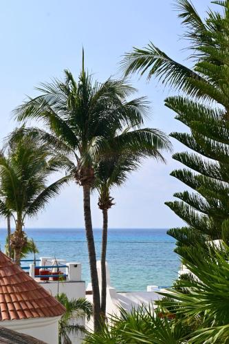 a view of the ocean from a resort with palm trees at Pelicano Inn Playa del Carmen - Beachfront Hotel in Playa del Carmen