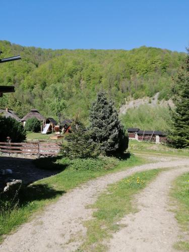 a dirt road with trees on the side of a hill at Stara Khata Карпати in Sheshory