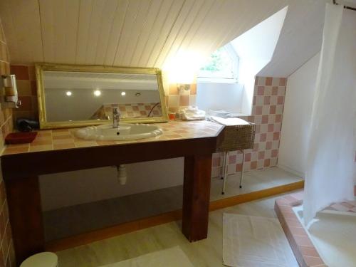 bagno con lavandino e specchio di Guestroom Ligny-le-Ribault, 1 pièce, 2 personnes - FR-1-590-313 a Ligny-le-Ribault