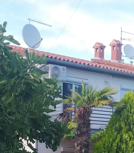 Apartments with a parking space Kosinozici, Porec - 23146