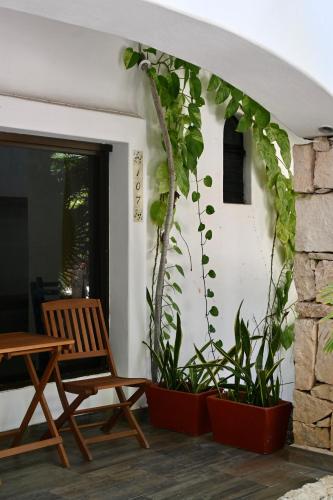 a patio with a chair and some plants at Pelicano Inn Playa del Carmen - Beachfront Hotel in Playa del Carmen