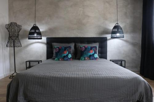 une chambre avec un lit avec deux oreillers et deux lampes dans l'établissement Grand meublé touristique centre-ville Béziers, à Béziers