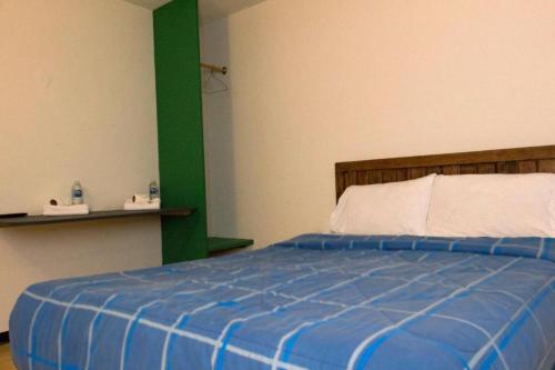 Un dormitorio con una cama azul con un adorno verde en CALLE 36, en San José