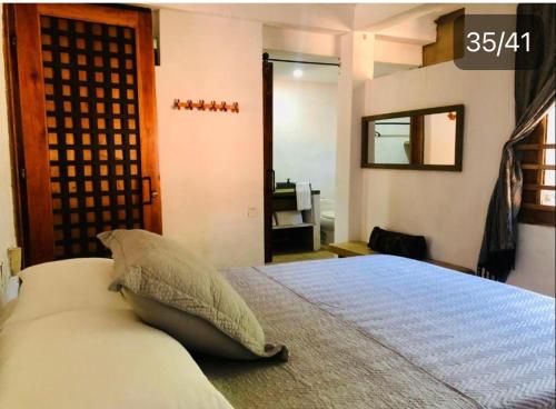 een slaapkamer met een bed met een kussen en een spiegel bij La Candelaria in Dibulla