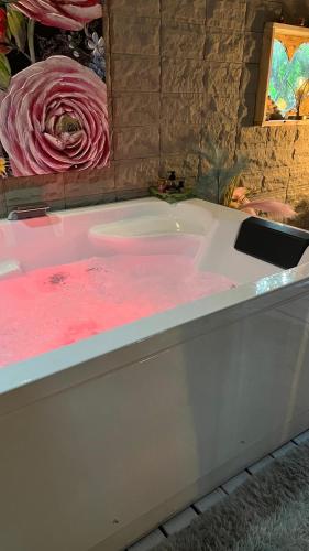 a bath tub filled with pink dye in a bathroom at LA CACHETTE ROMANTIQUE DU Jardin in Barjols