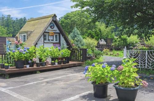 a small house with potted plants in front of it at Spabellis in Jeju