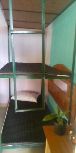 Двухъярусная кровать или двухъярусные кровати в номере Himalayan Homestay