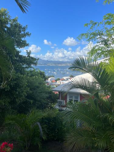 Un paisaje natural cerca del departamento