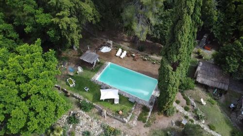 an overhead view of a swimming pool in a forest at Cabañas spa el petrel in San Javier