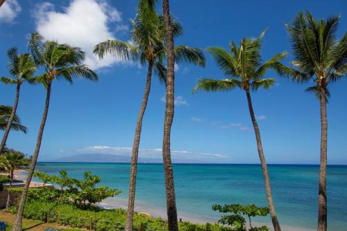 a group of palm trees on the beach at Oceanfront corner unit w/ ac! sk215- Sullivan in Kahana